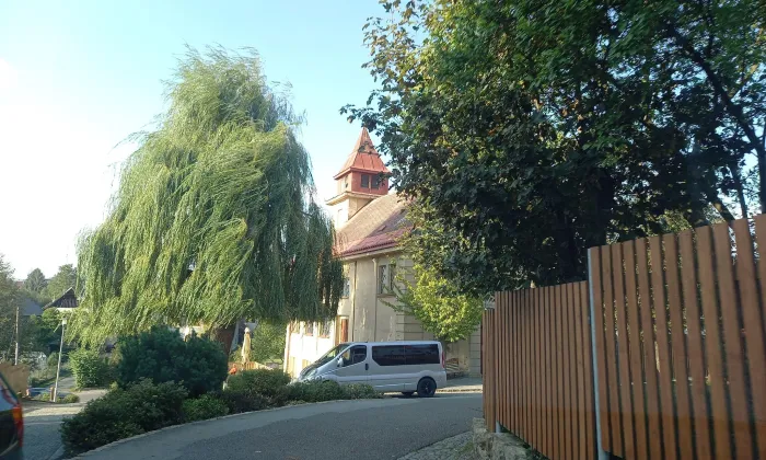 Sbor krále Jiřího z Poděbrad