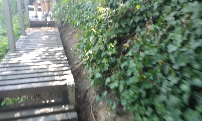 Nový Svět