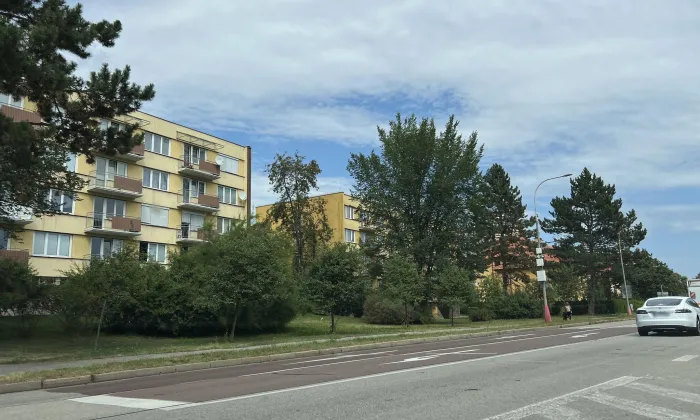 Špičák