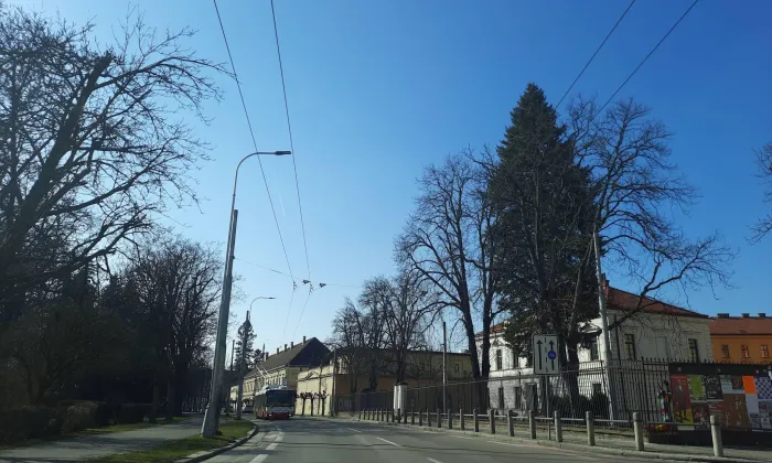 Žižkovy sady