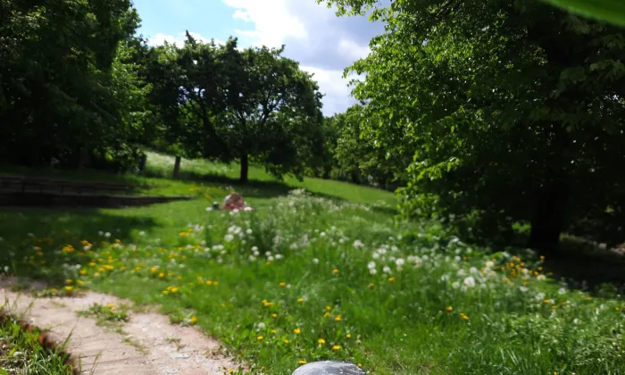 Park Smiřického