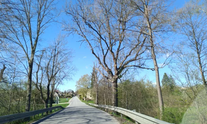 kamenný most přes Stropnici v Borovanech
