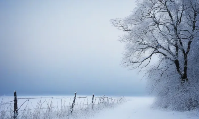 Bývalé chlévy usedlosti čp. 9 – winter