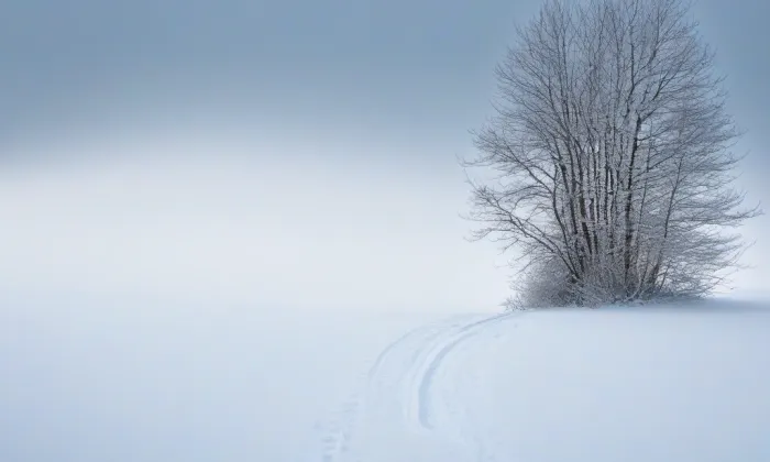 Bývalý drážní domek holešovických Jatek – winter