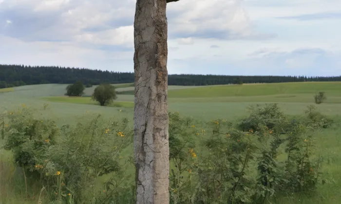 Boží muka se smírčím křížem – historical