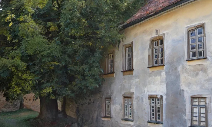 Dvorní křídlo – historická rekonstrukce