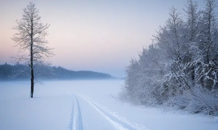 Hradecká brána (Opava) – winter
