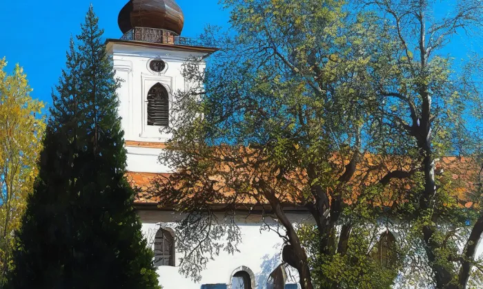 Kostel svatých Petra a Pavla (Petrovice) – historical