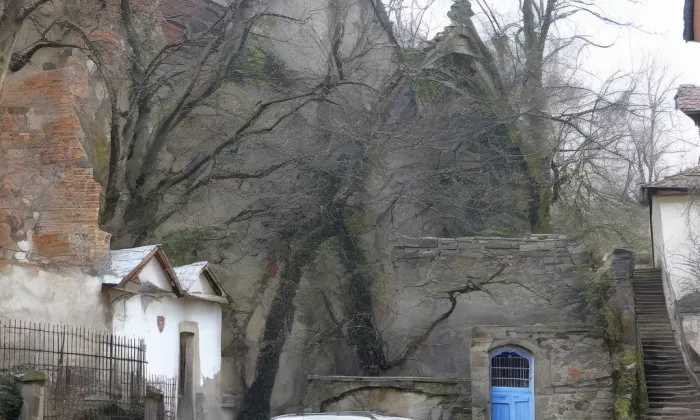 Rošických – historical