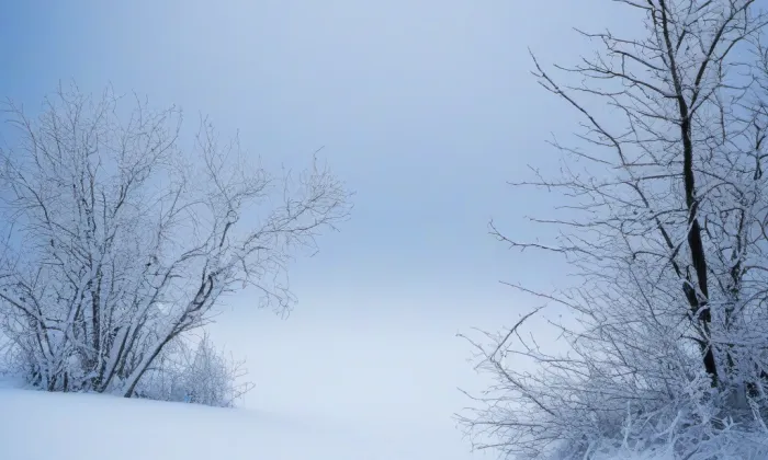 Soubor gotických soch z období krásného slohu – winter