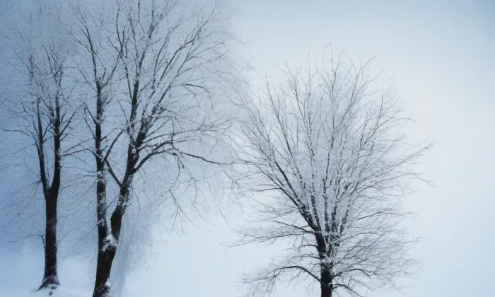 zámek Hrabyně – winter