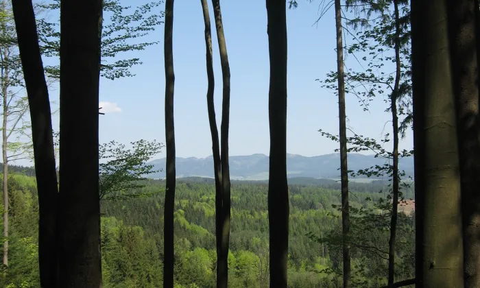 Benediktinská myslivna, chata Hvězda