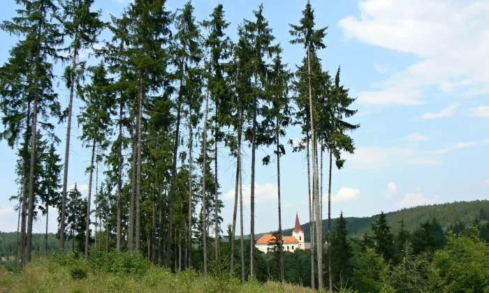 Bezemín