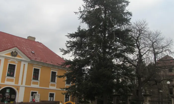Budova čp. 3