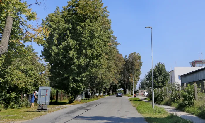 Busta F. L. Čelakovského od Vojtěcha Šípa