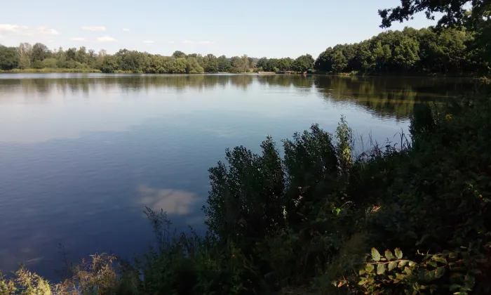Buzice