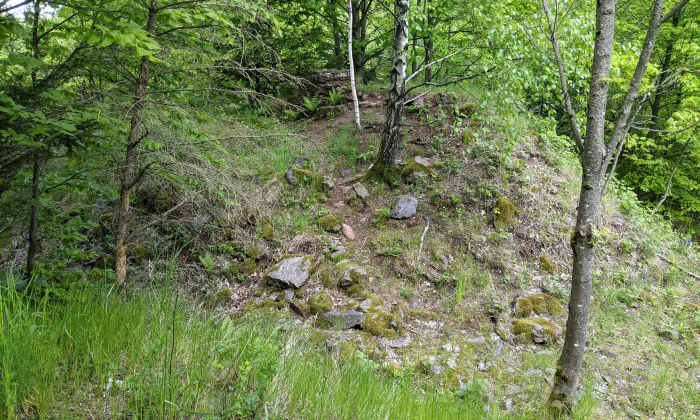 Dobřany