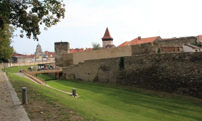 Dolní Česká 23