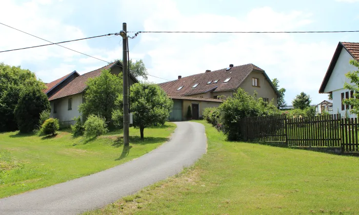 Dvojice haltýřů