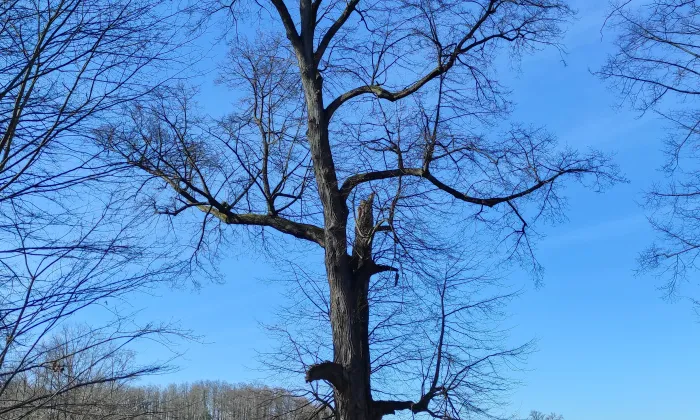 Dvorec Peklo