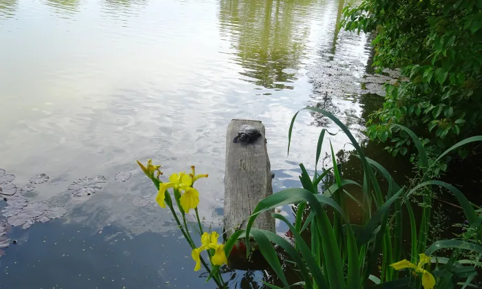 Arboretum Nový Dvůr