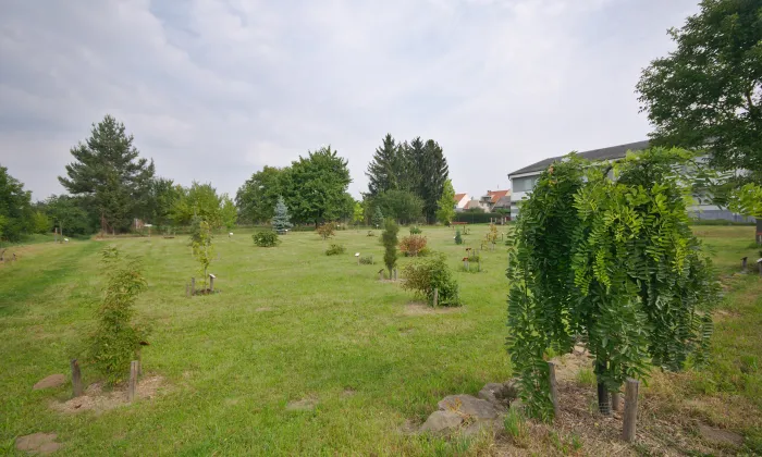 Arboretum Vrahovice