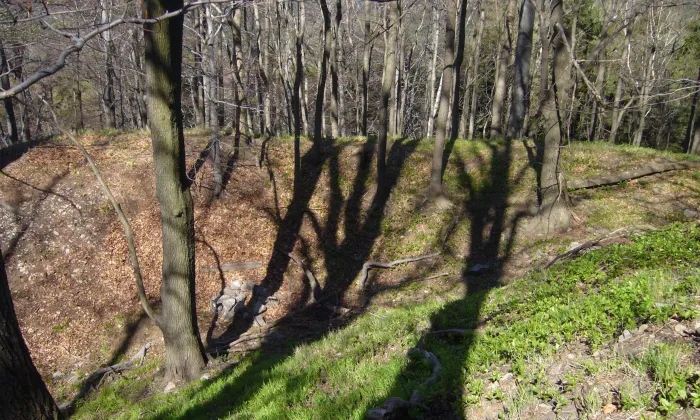 Falkenberk