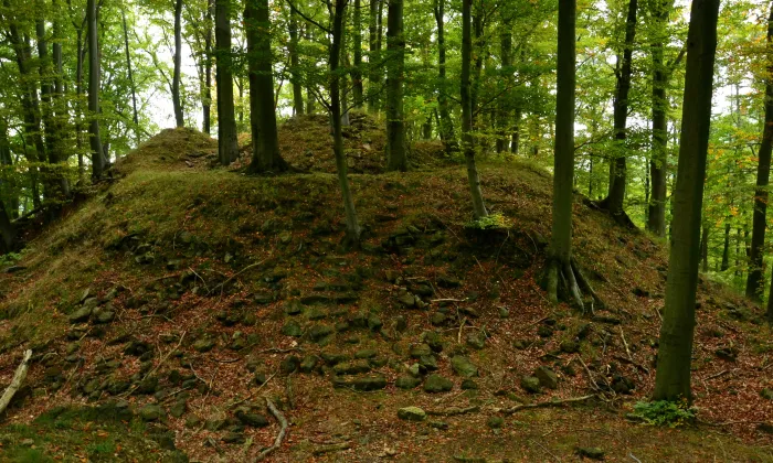 Hausberk (Černice)