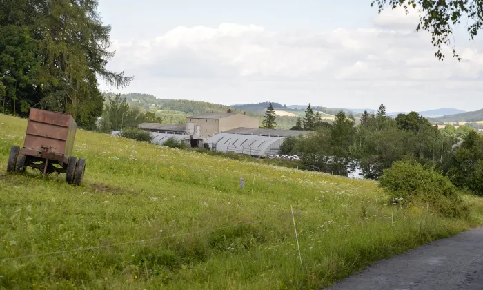 Hlavňovice