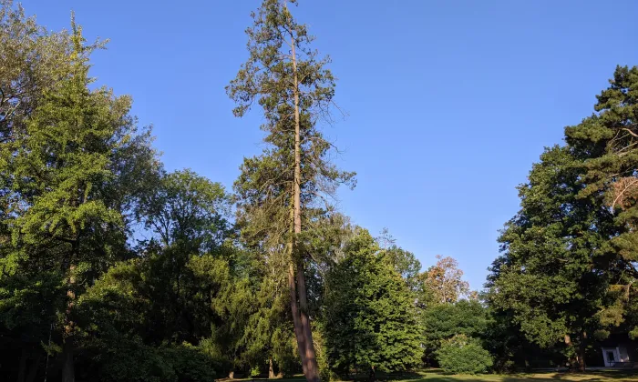 Horní Dlouhá Loučka