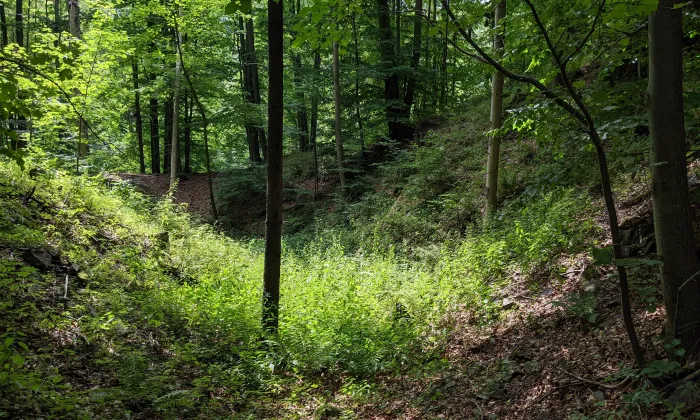 Hrad Vildštejn