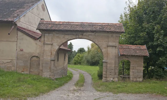 Jeřice