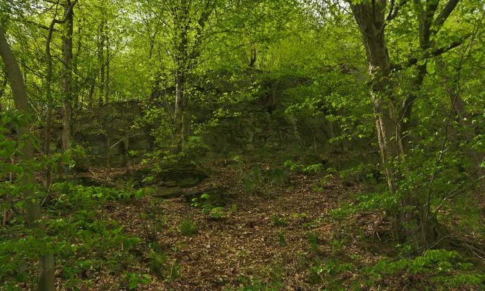 Ježův hrad