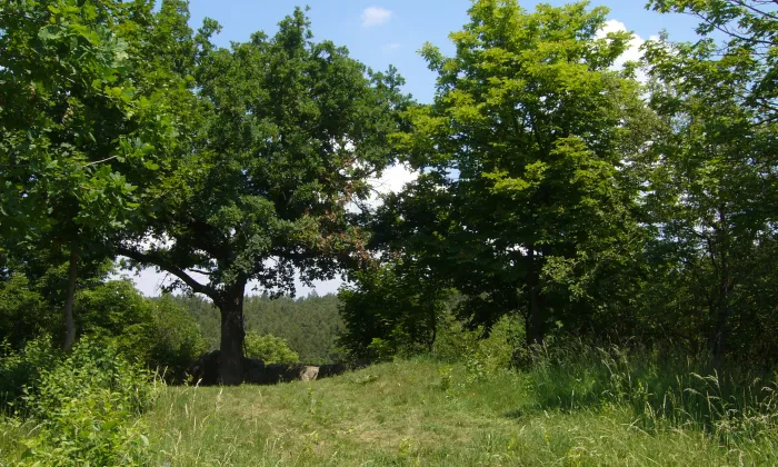 Komberk
