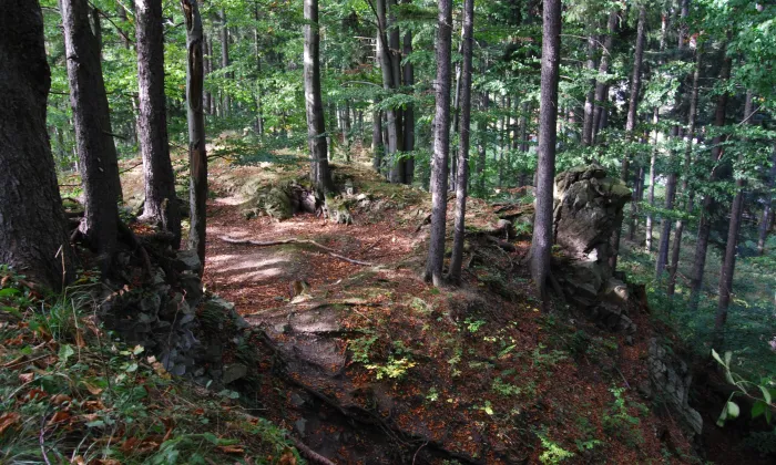 Kuglvajt (Brloh)