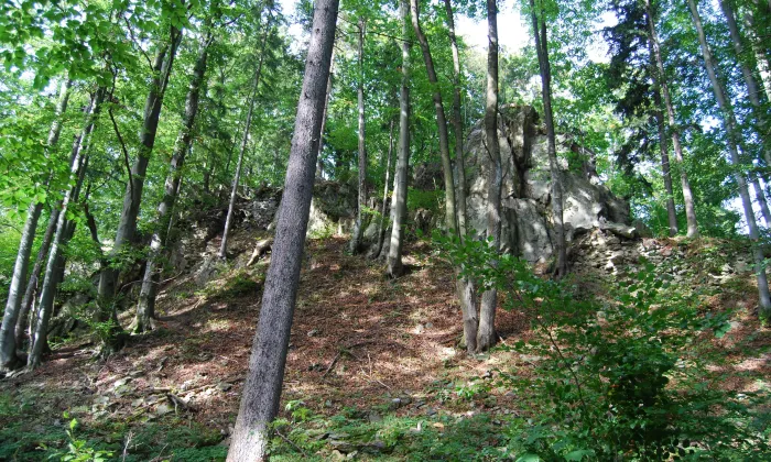 Kuglvajt (Brloh)