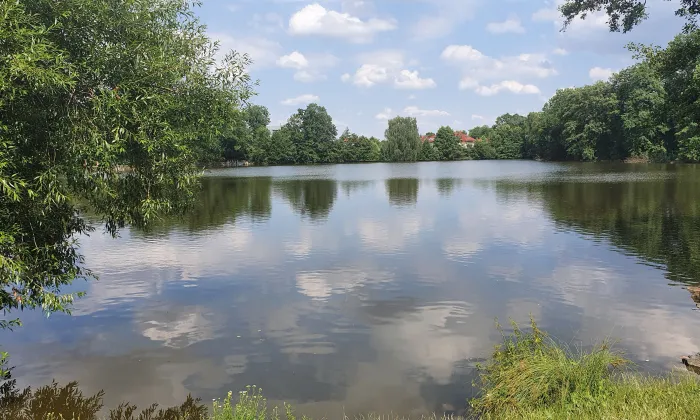 Květnice