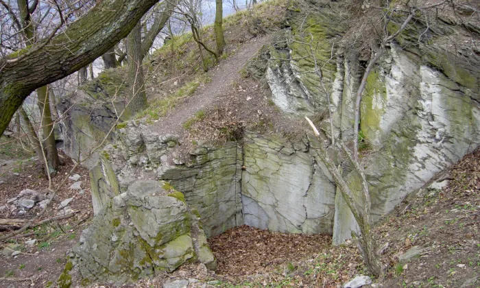 Litýš