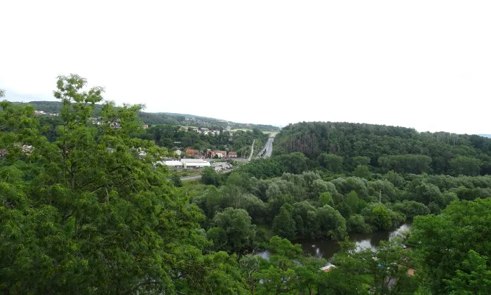 Michalovice