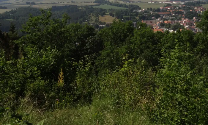 Nevděk