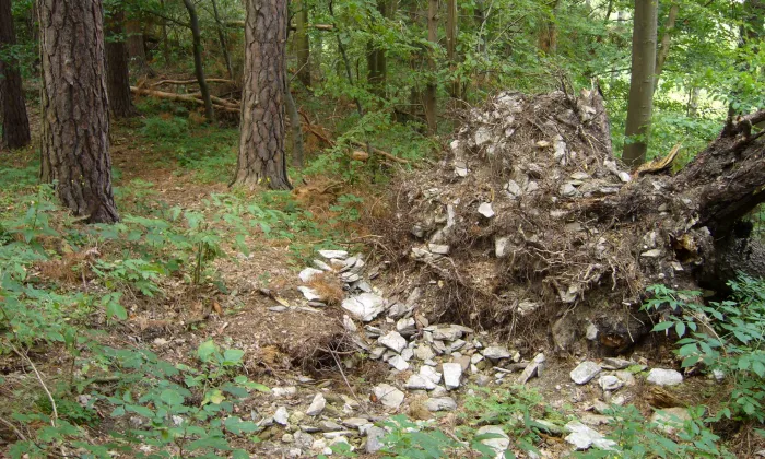 Ostrolovský Újezd