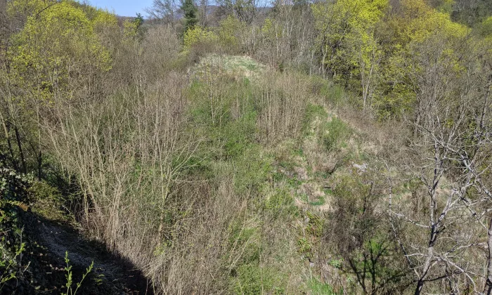 Ostrý (Františkov nad Ploučnicí)