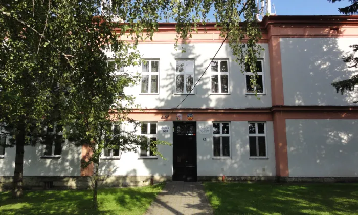 Ropice