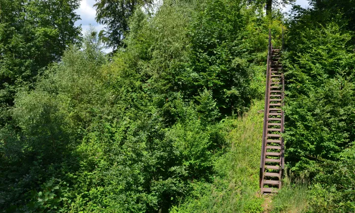 Velešov