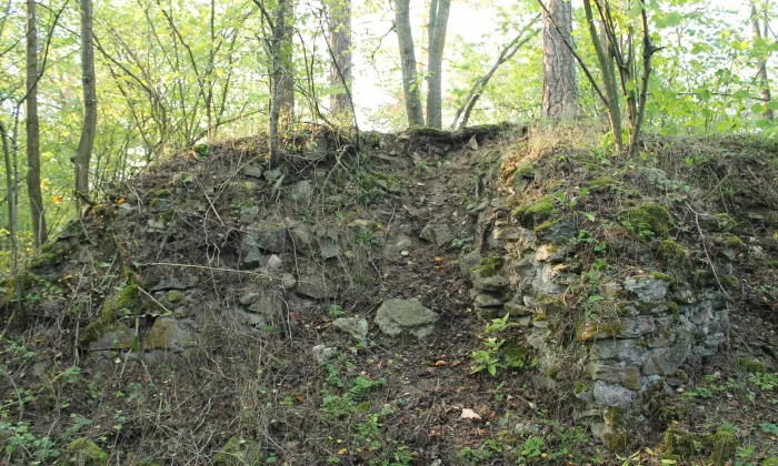 Víckov