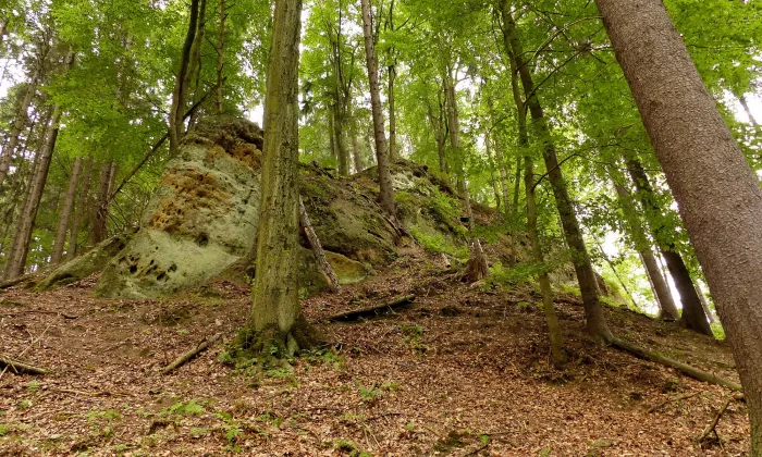 Zbyny