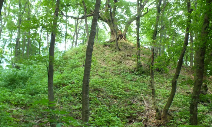 Zuvačov