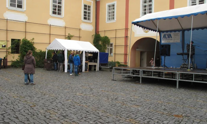 Čestice