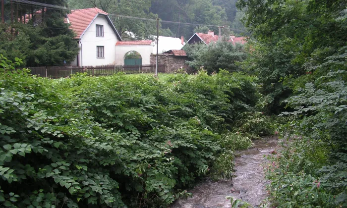 dřevěný most v Pernštejně