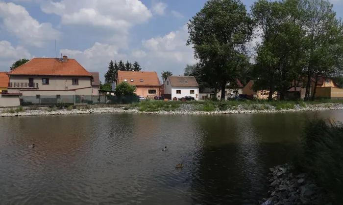 Jeneček